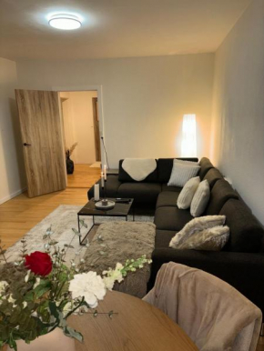 Cozy 3-room apartment with 2 bedrooms, Copenhagen